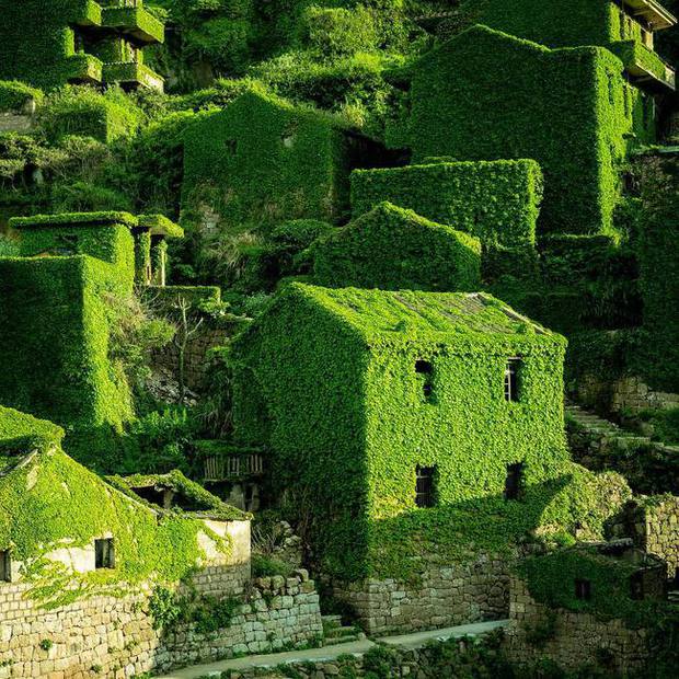 The unfortunate village in China: The richest but abandoned, now becoming a sought-after green gem - Photo 6.