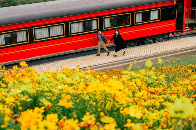 Brand new check-in location in Da Lat: The scene of the train in the middle of a flower field as beautiful as the European sky - Photo 10.