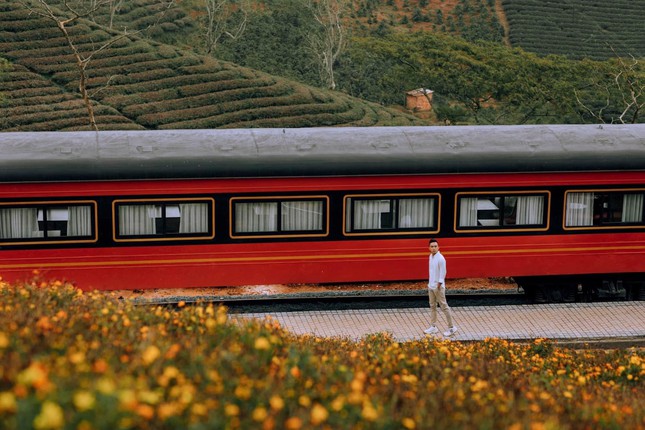 Brand new check-in location in Da Lat: The scene of the train in the middle of a flower field as beautiful as the European sky - Photo 7.