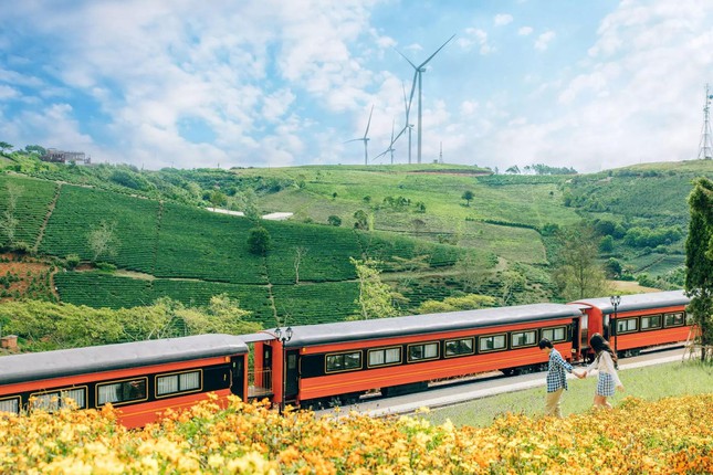 Brand new check-in place in Da Lat: The scene of the train in the middle of a flower field as beautiful as the European sky - Photo 8.