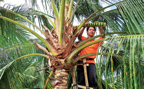 Very strange job in Vietnam: High income, but few people do it, what is obtained is a famous specialty of the whole region - Photo 2.