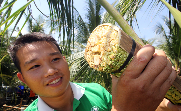 Very strange job in Vietnam: High income, but few people do it, what is obtained is a famous specialty of the whole region - Photo 7.