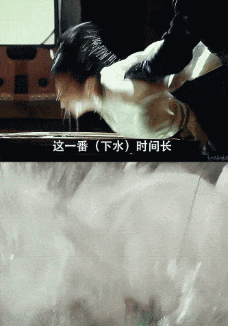 Lộ clip Lưu Diệc Phi bị túm tóc, nhấp đầu vào chậu nước liên tục khiến fan xót xa - Ảnh 2.