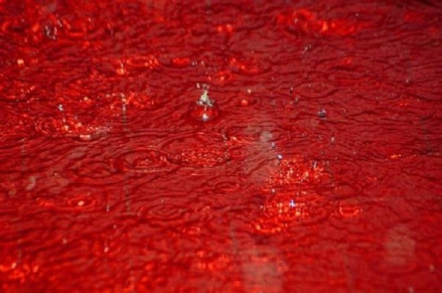 Bí ẩn những cơn ‘mưa máu’ nhuốm đỏ cả vùng rộng lớn, có phải điềm báo chết chóc? - Ảnh 1.