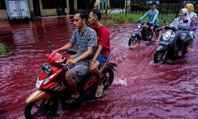 Bí ẩn những cơn ‘mưa máu’ nhuốm đỏ cả vùng rộng lớn, có phải điềm báo chết chóc? - Ảnh 3.