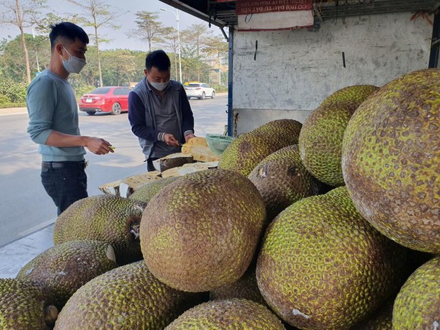 Gấp quần áo thuê, nuôi ruồi và những nghề kỳ lạ nhưng đem lại thu nhập hàng triệu đồng/ngày - Ảnh 6.