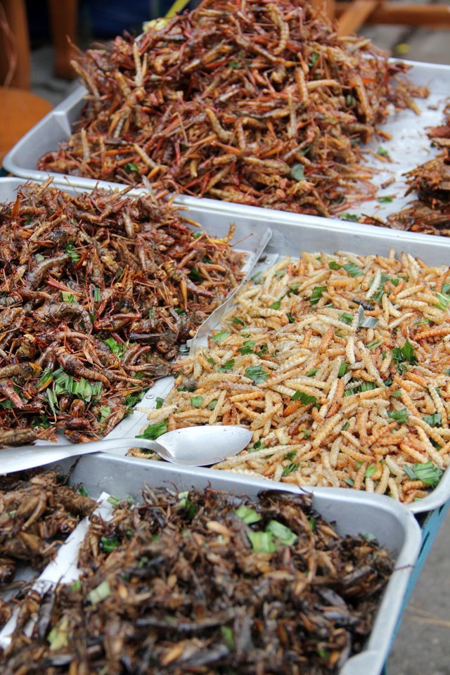 Thực phẩm của tương lai gây sốt ở Thái Lan: Trông đáng sợ nhưng mùi vị lại ngon bất ngờ! - Ảnh 1.