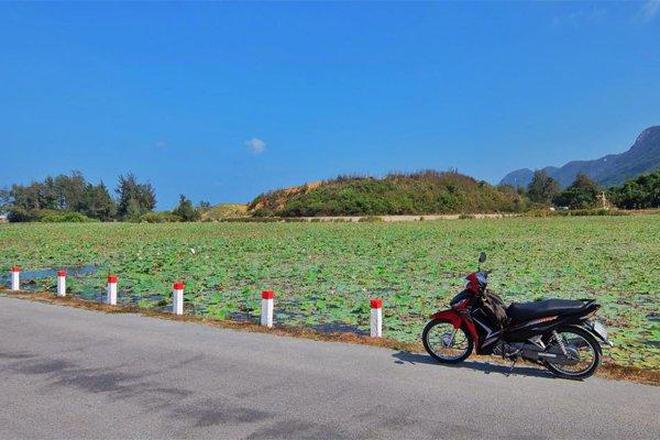 Những điều đặc biệt mà chỉ có du lịch ở đảo bạn mới có cơ hội trải nghiệm, nghe đến đâu là tròn mắt đến đó - Ảnh 7.