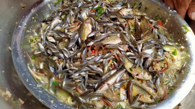 Những món ăn ở Việt Nam thách thức lòng can đảm của người thưởng thức: Có món là đặc sản được săn lùng với giá cao - Ảnh 7.