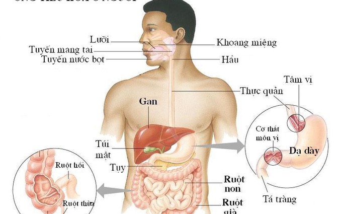 Nhóm bệnh ung thư có dấu hiệu ban đầu mờ nhạt, dễ nhầm lẫn: Bác sĩ chỉ cách phát hiện - Ảnh 1.