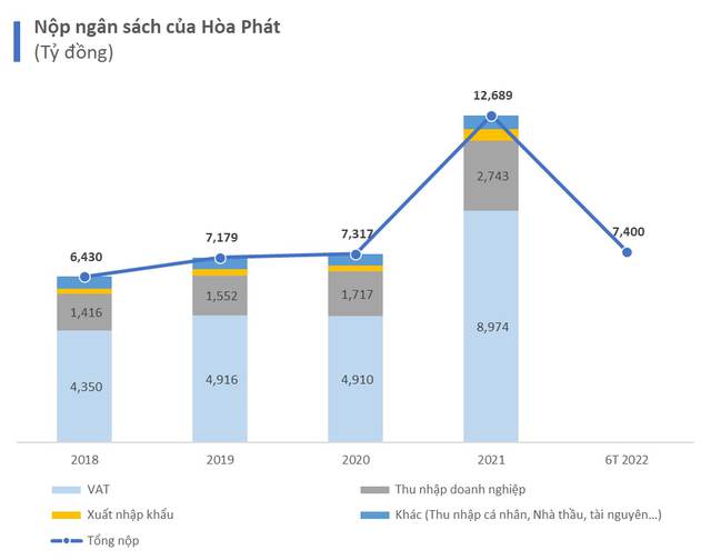  Nộp ngân sách cả chục nghìn tỷ đồng, Hòa Phát đóng những loại thuế gì?  - Ảnh 1.