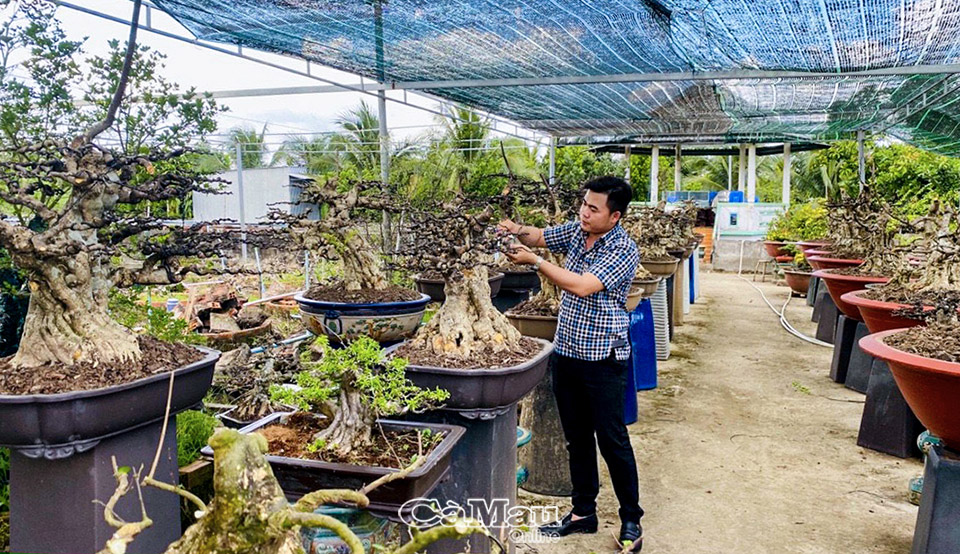 9X miền Tây kinh doanh phôi mai vàng, mỗi năm thu hàng trăm triệu đồng - Ảnh 1. 9X miền Tây kinh doanh phôi mai vàng, mỗi năm thu hàng trăm triệu đồng - Ảnh 1.