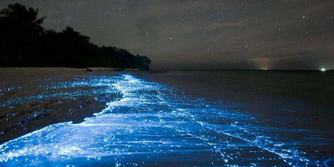 Cả dải đại dương bất ngờ bừng sáng rực rỡ trong đêm, một hiện tượng kỳ bí cuối cùng cũng lộ diện qua ảnh chụp thực tế  - Ảnh 7.