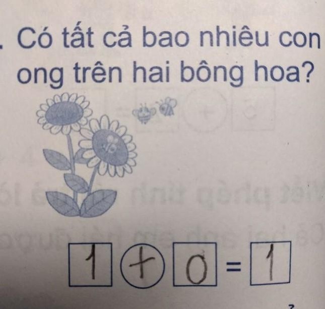 Học sinh Tiểu học đặt phép tính 1+0=1, tưởng rõ như ban ngày nhưng vẫn gây tranh cãi - Ảnh 1.