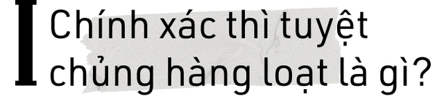 Tại sao sự tuyệt chủng hàng loạt lại xảy ra? - Ảnh 1.