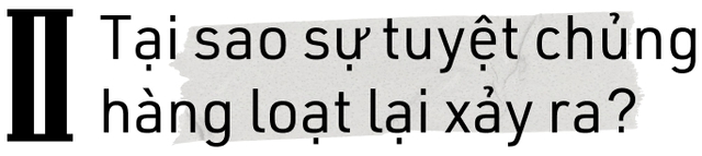 Tại sao sự tuyệt chủng hàng loạt lại xảy ra? - Ảnh 13.