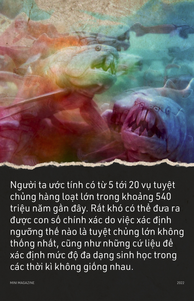 Tại sao sự tuyệt chủng hàng loạt lại xảy ra? - Ảnh 6.