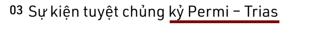 Tại sao sự tuyệt chủng hàng loạt lại xảy ra? - Ảnh 7.