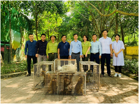 Vườn Quốc gia Vũ Quang tái thả số lượng lớn động vật hoang dã nguy cấp - Ảnh 1.