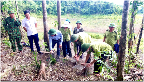 Vườn Quốc gia Vũ Quang tái thả số lượng lớn động vật hoang dã nguy cấp - Ảnh 3.