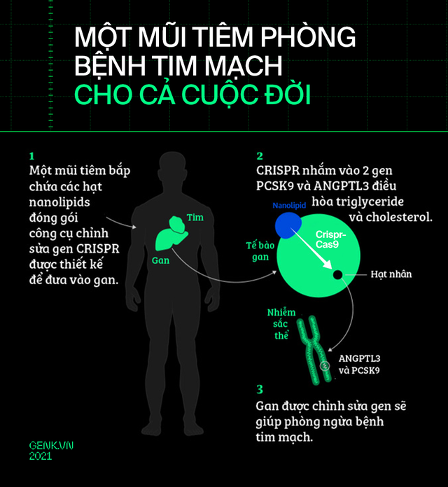 Tròn một thập kỷ CRISPR: Từ nghiên cứu bị lãng quên đến giải Nobel kiến tạo kỷ nguyên mới - Ảnh 16.