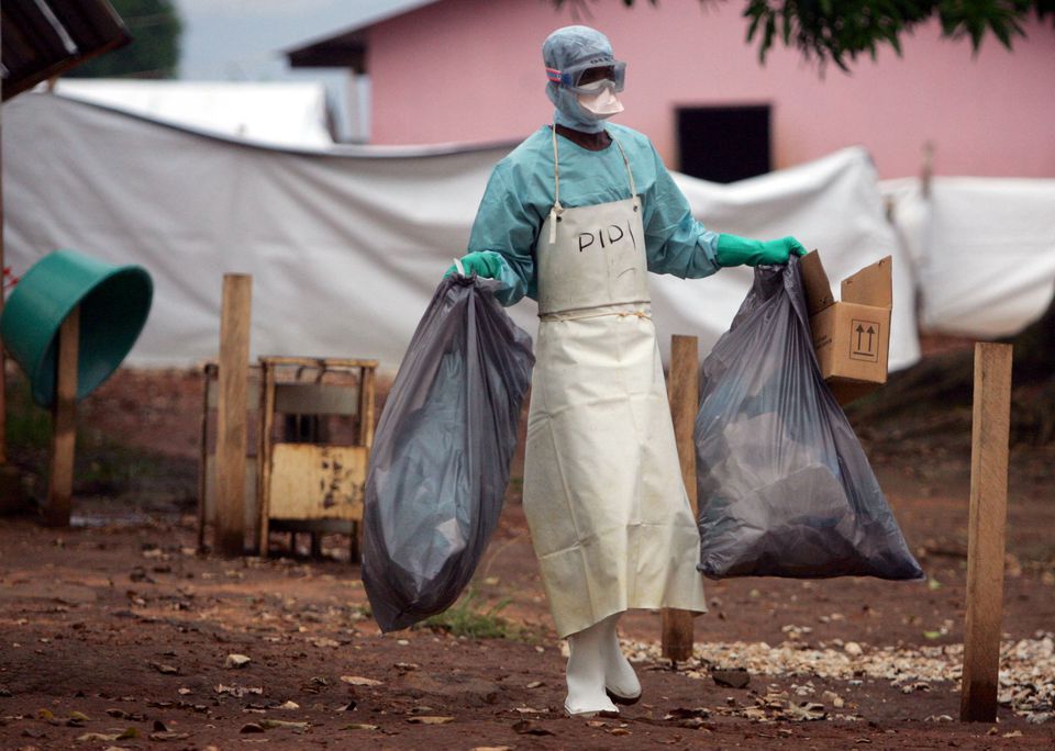 Loại virus mới được phát hiện ở Ghana nguy hiểm như thế nào? - Ảnh 2.