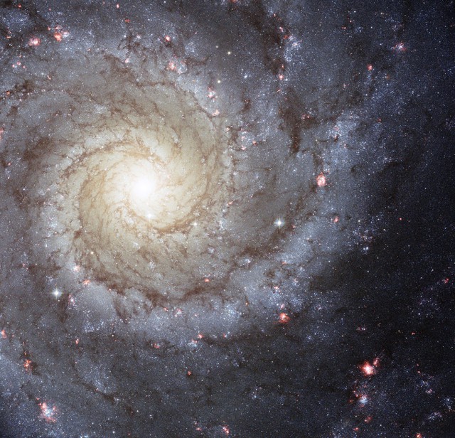 Kính viễn vọng Không gian James Webb tình cờ phát hiện vòng xoáy bí ẩn của thiên hà màu tím trong vũ trụ của chúng ta! - Ảnh 4.