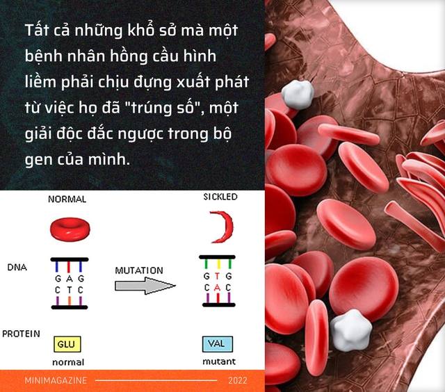 Tròn một thập kỷ CRISPR: Từ nghiên cứu bị lãng quên đến giải Nobel kiến tạo kỷ nguyên mới - Ảnh 9.