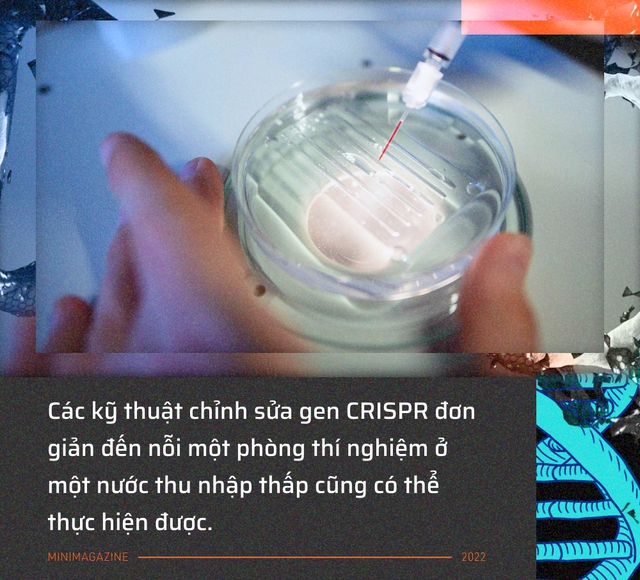 Tròn một thập kỷ CRISPR: Từ nghiên cứu bị lãng quên đến giải Nobel kiến tạo kỷ nguyên mới - Ảnh 10.