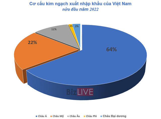  Việt Nam nhập siêu lớn chỉ trong 15 ngày đầu tháng 7  - Ảnh 1.