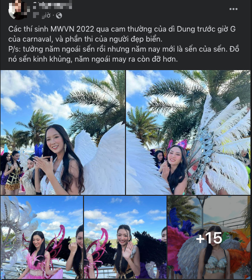 Diễu hành carnival đường phố của Miss World Vietnam 2022 người khen - kẻ chê - Ảnh 6.