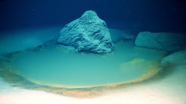 Phát hiện những vùng nước biển siêu mặn ở Hồng Hải nhưng vẫn tồn tại sự sống - Ảnh 1.