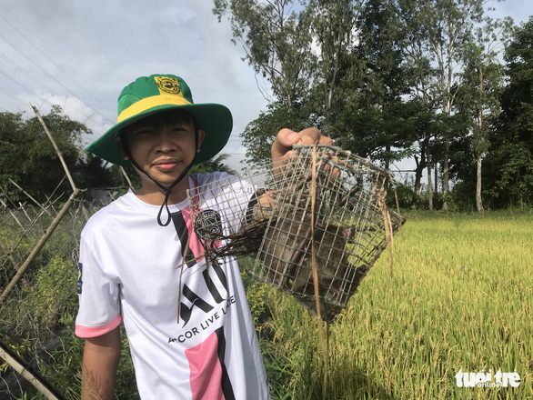 Chuột đồng nướng sa tế chấm chao - mỹ vị nhân gian phải tự mình nếm trải... - Ảnh 1.