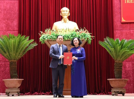  Bộ Chính trị điều động Chủ tịch Bình Định Nguyễn Phi Long làm Bí thư Hoà Bình  - Ảnh 1.