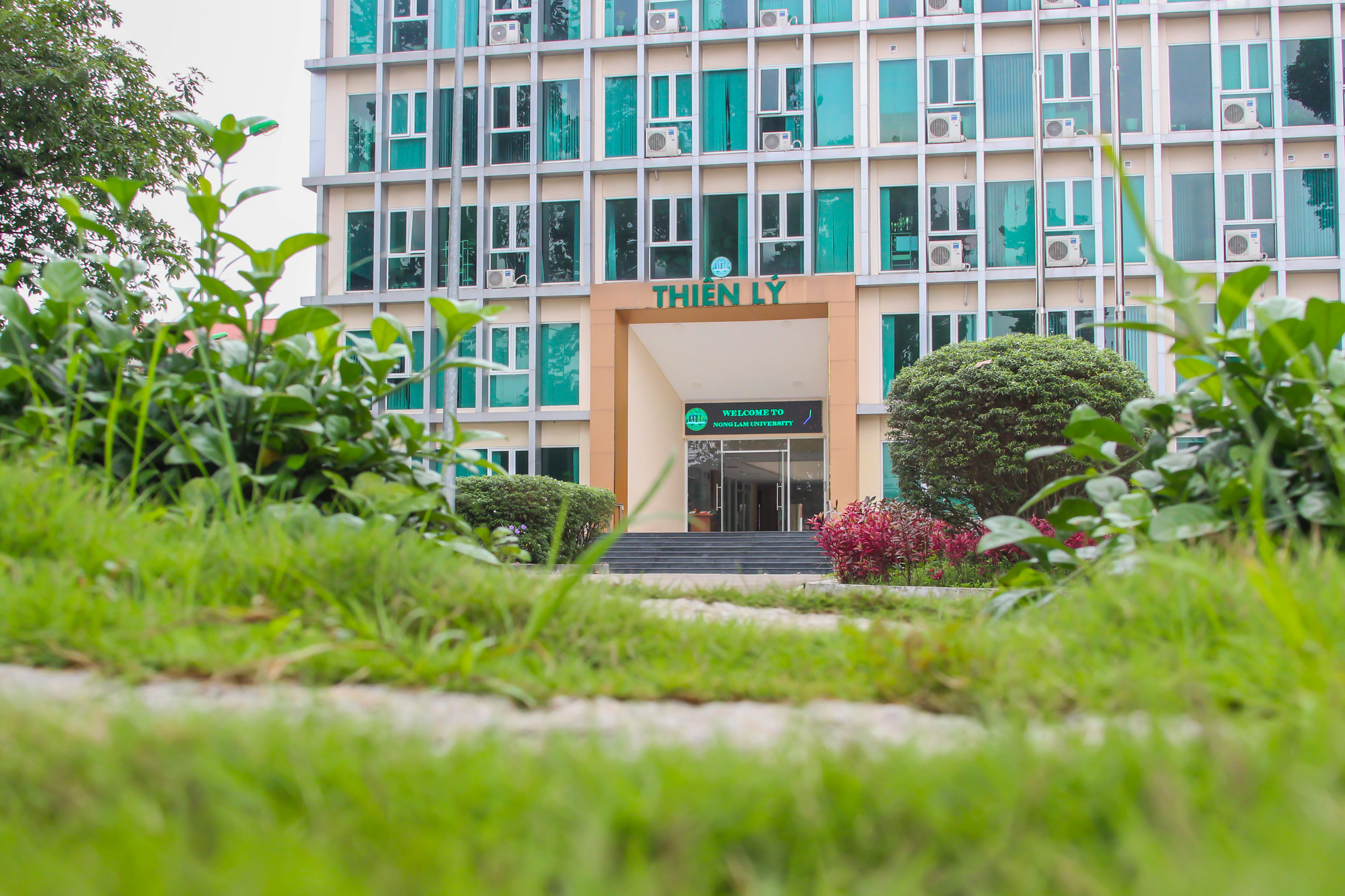 Ngôi trường ở TP.HCM rộng đến 120 ha, giảng đường mang tên các loài cây  - Ảnh 8.