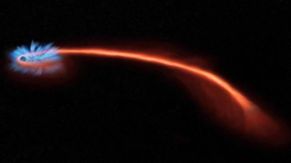 Khoảnh khắc lỗ đen xé nát và nuốt chửng ngôi sao - Ảnh 1.