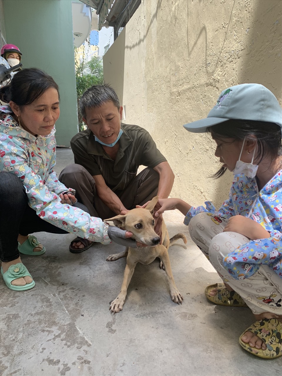 Người bỏ 24 triệu chuộc đ&agrave;n ch&oacute; ở l&ograve; mổ từng cứu một ch&uacute; ch&oacute; hoang ngất xỉu v&igrave; đ&oacute;i kh&aacute;t - Ảnh 1.