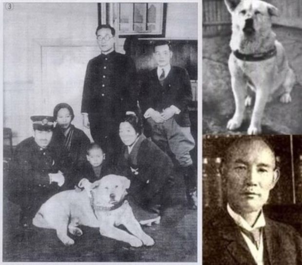 Những chuyện ít người biết về Hachiko - chú chó đứng ở sân ga 10 năm đợi chủ đã trở thành biểu tượng của lòng trung thành - Ảnh 4.