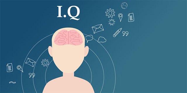 Bé gái 2 tuổi đã gia nhập cộng đồng những người có IQ cao nhất thế giới, nhưng ai cũng lo ngại IQ không tạo nên thành công - Ảnh 1.