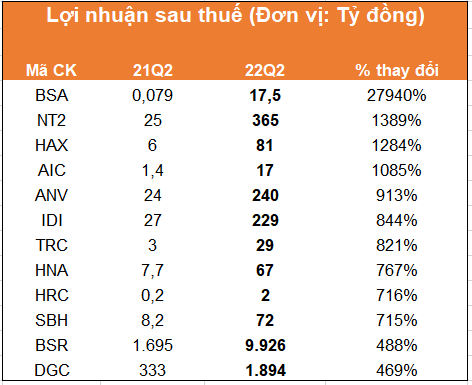 Nhiều doanh nghiệp tăng trưởng lợi nhuận cao trong quý 2, có doanh nghiệp tăng gấp 200 lần so với cùng kỳ  - Ảnh 1.