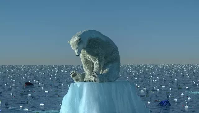 Ngày càng nhiều gấu Bắc Cực đói bụng phải vào bãi rác kiếm ăn - Ảnh 4.