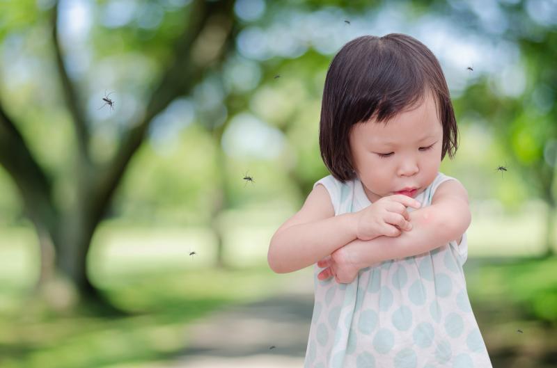 Việt Nam đã có vắc xin phòng ngừa bệnh sốt xuất huyết chưa? - Ảnh 2. Việt Nam đã có vắc xin phòng ngừa bệnh sốt xuất huyết chưa? - Ảnh 2.