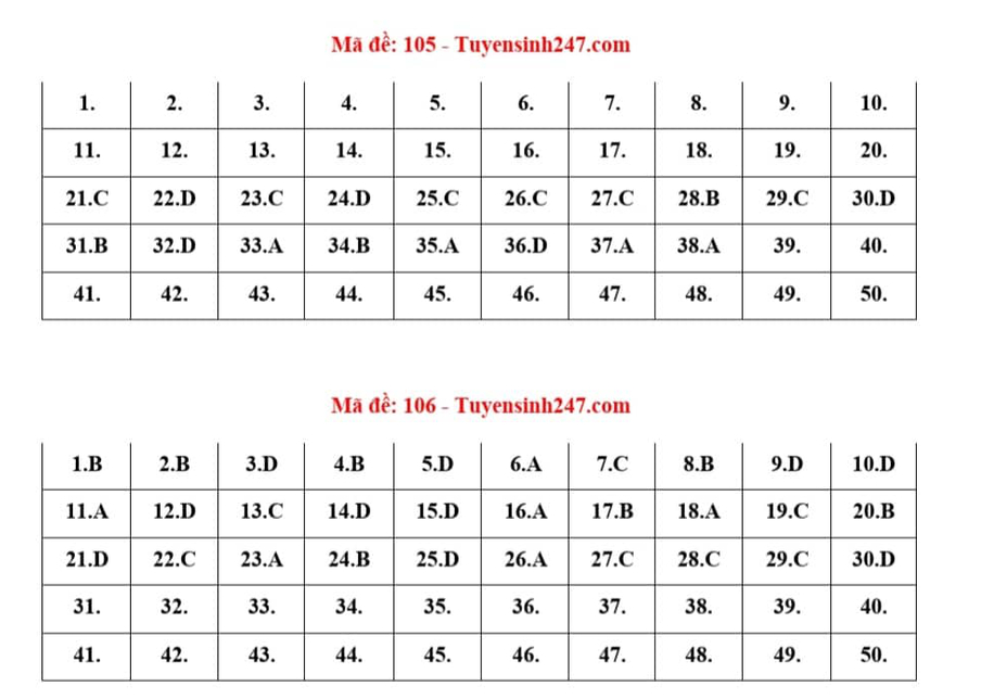 Gợi ý Đáp án 24 mã đề môn Toán kỳ thi tốt nghiệp THPT 2022 - Ảnh 1.