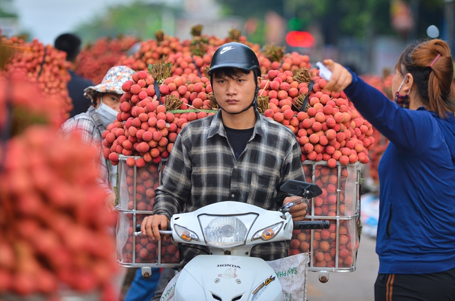 Ảnh: Người dân Bắc Giang cõng hàng tạ vải thiều đi bán từ 5h sáng khiến đường phố đỏ rực, tắc dài - Ảnh 4.