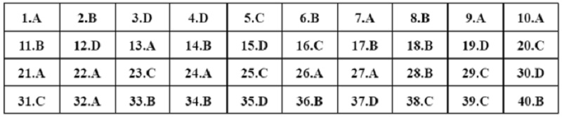 Đề thi v&agrave; đ&aacute;p &aacute;n m&ocirc;n Lịch sử tốt nghiệp THPT năm 2022 - Ảnh 1.