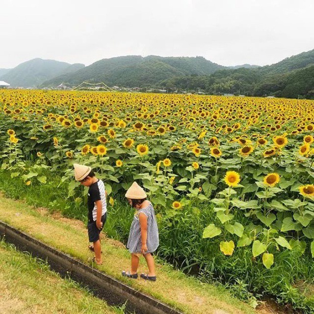 Rời bỏ thành thị náo nhiệt, nữ tiếp viên hàng không về quê, sống đơn giản bên khu vườn nhỏ và cánh đồng cùng chồng con - Ảnh 8.