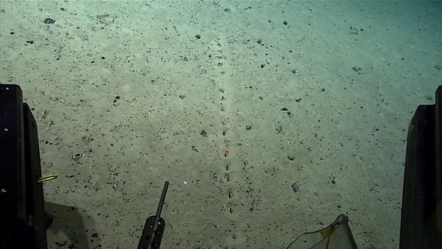 Những lỗ thủng kỳ lạ được phát hiện dưới đáy đại dương - Ảnh 1.