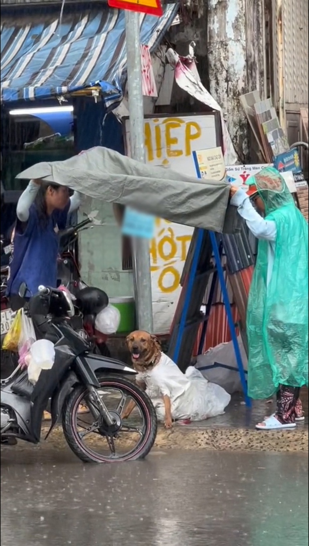 Chú chó trốn khỏi kẻ trộm giữa mưa và cử chỉ được khen hết lời của 2 cô gái lạ - Ảnh 4.