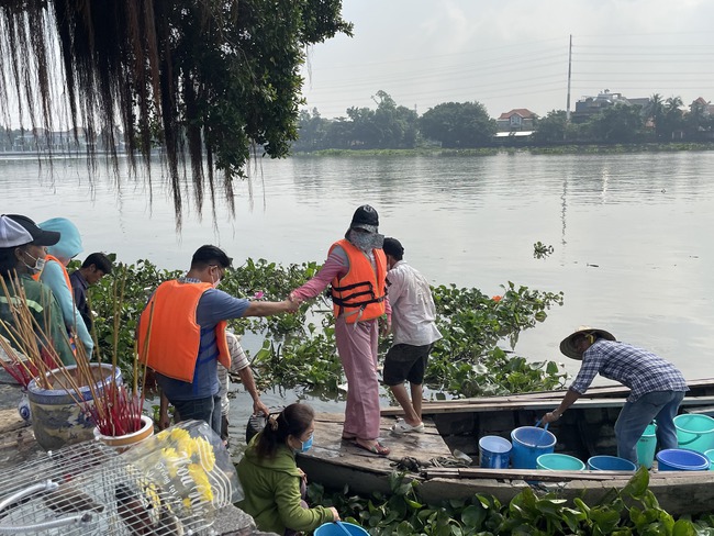 Phóng sinh ngày Lễ Vu Lan: Chợ chim trời trúng đậm, tăng giá gấp đôi, 1 buổi bán ít nhất 1000 con - Ảnh 9.