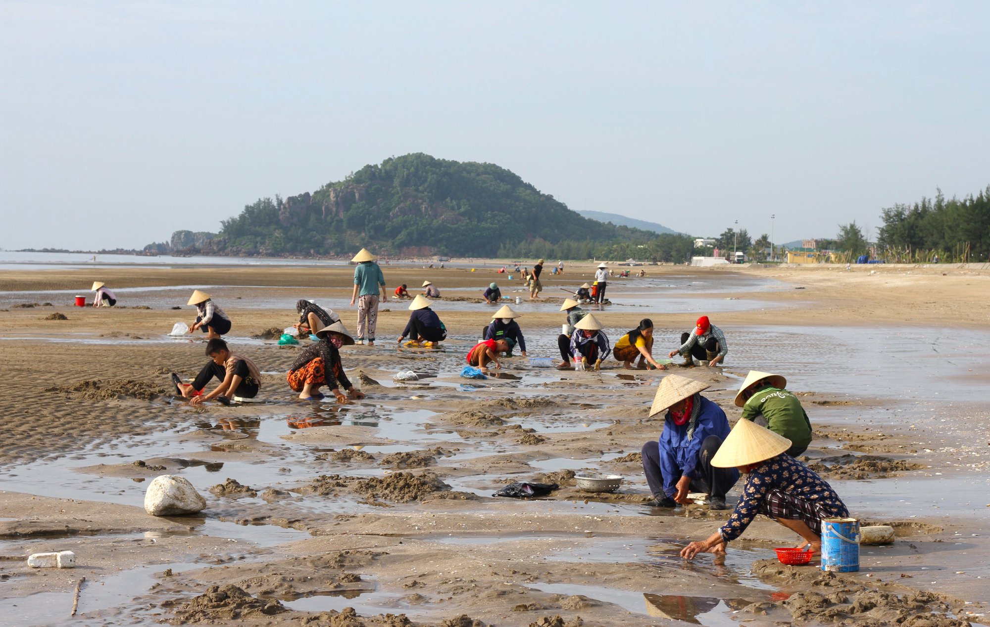 Thi nhau xới tung bãi cát tìm bắt lộc biển ở Nghệ An - Ảnh 1.